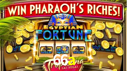Cassino ao vivo com dealers reais na 66a